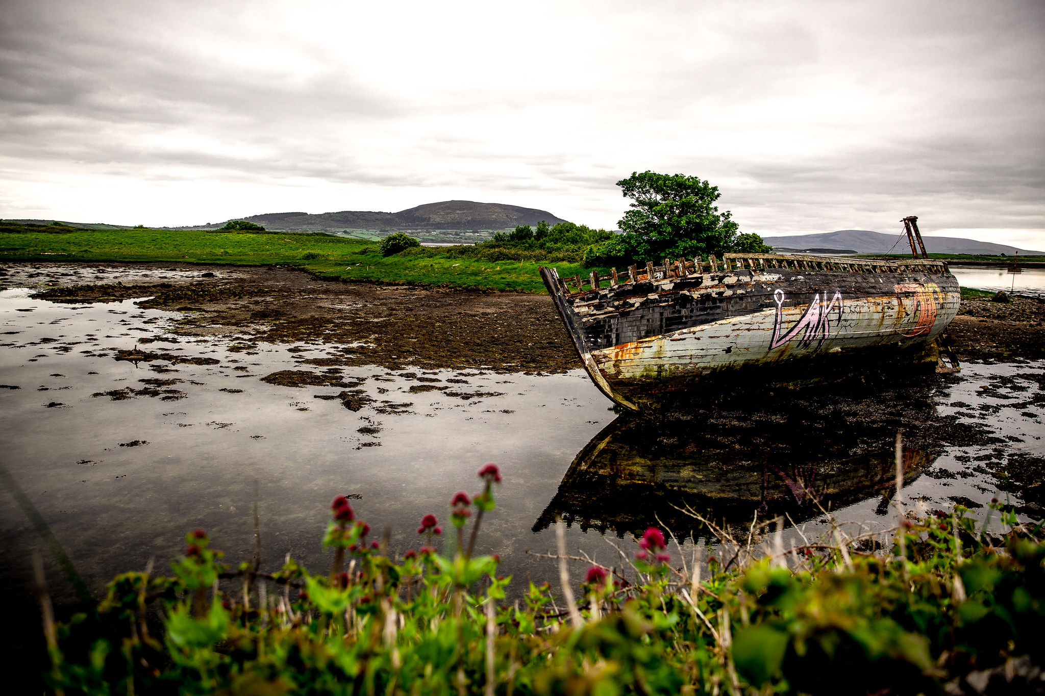 SLIGO-PRINT-00005